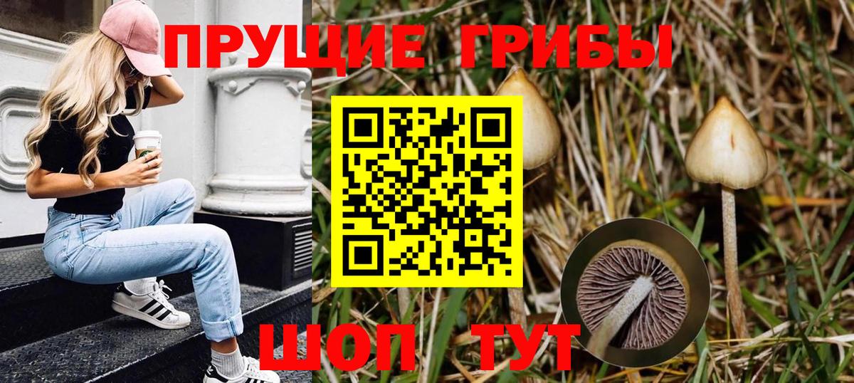 где купить наркоту  Вход с VPN  Галлюциногенные грибы Psilocybe  Южно-Сахалинск  Псилоцибиновые грибы GOLDEN TEACHER 
