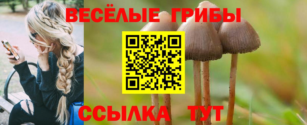 Псилоцибиновые грибы Psilocybine cubensis Южно-Сахалинск